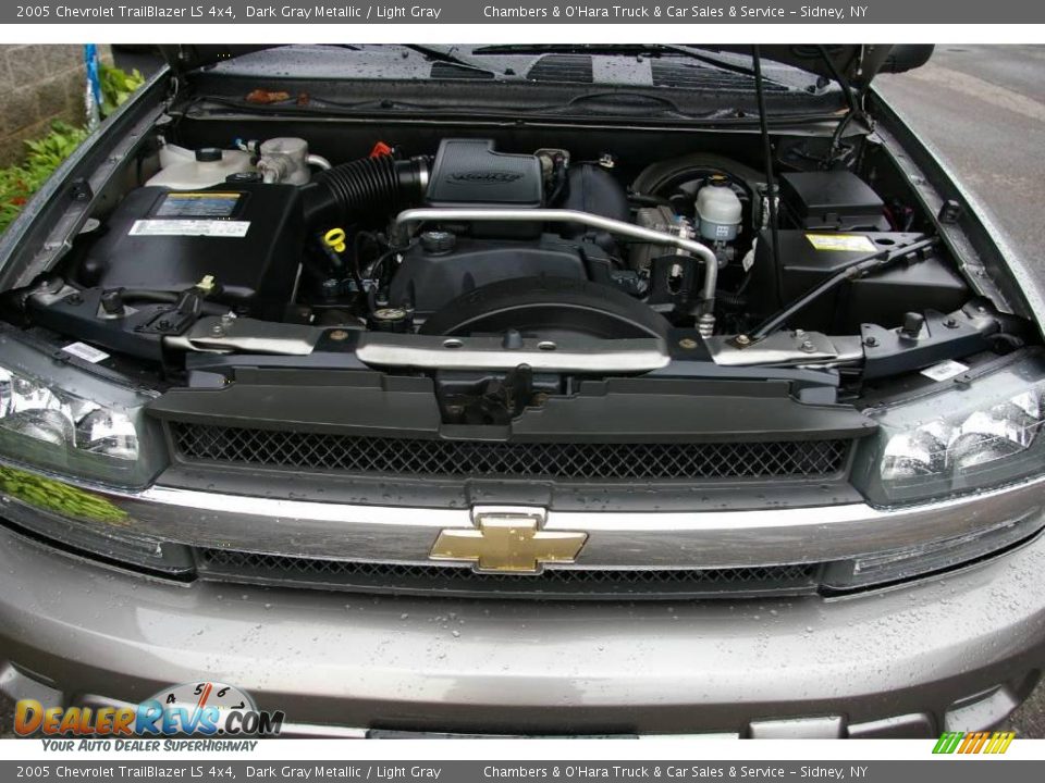 2005 Chevrolet TrailBlazer LS 4x4 Dark Gray Metallic / Light Gray Photo #13