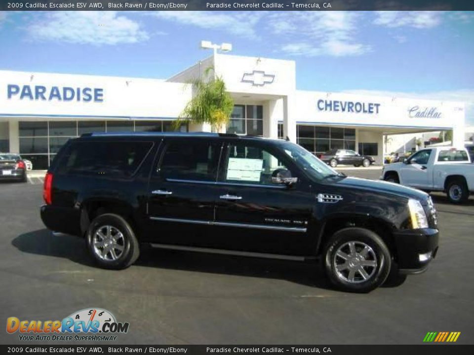 2009 Cadillac Escalade ESV AWD Black Raven / Ebony/Ebony Photo #1