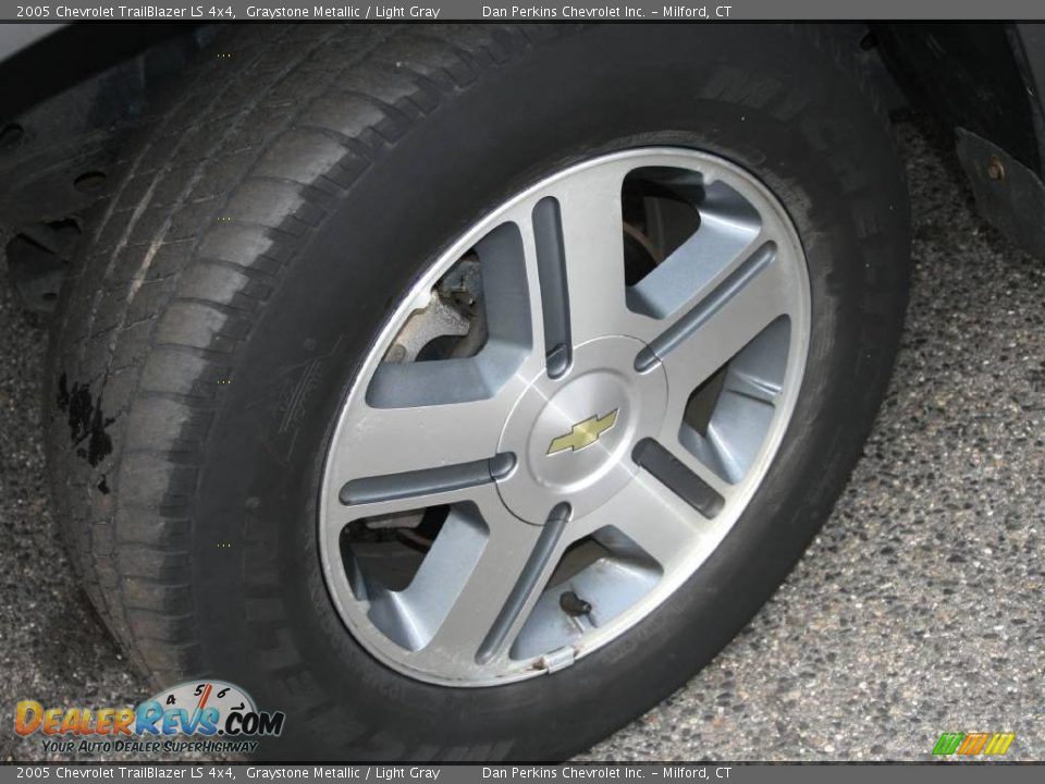 2005 Chevrolet TrailBlazer LS 4x4 Graystone Metallic / Light Gray Photo #10