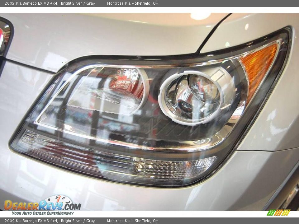 2009 Kia Borrego EX V8 4x4 Bright Silver / Gray Photo #7