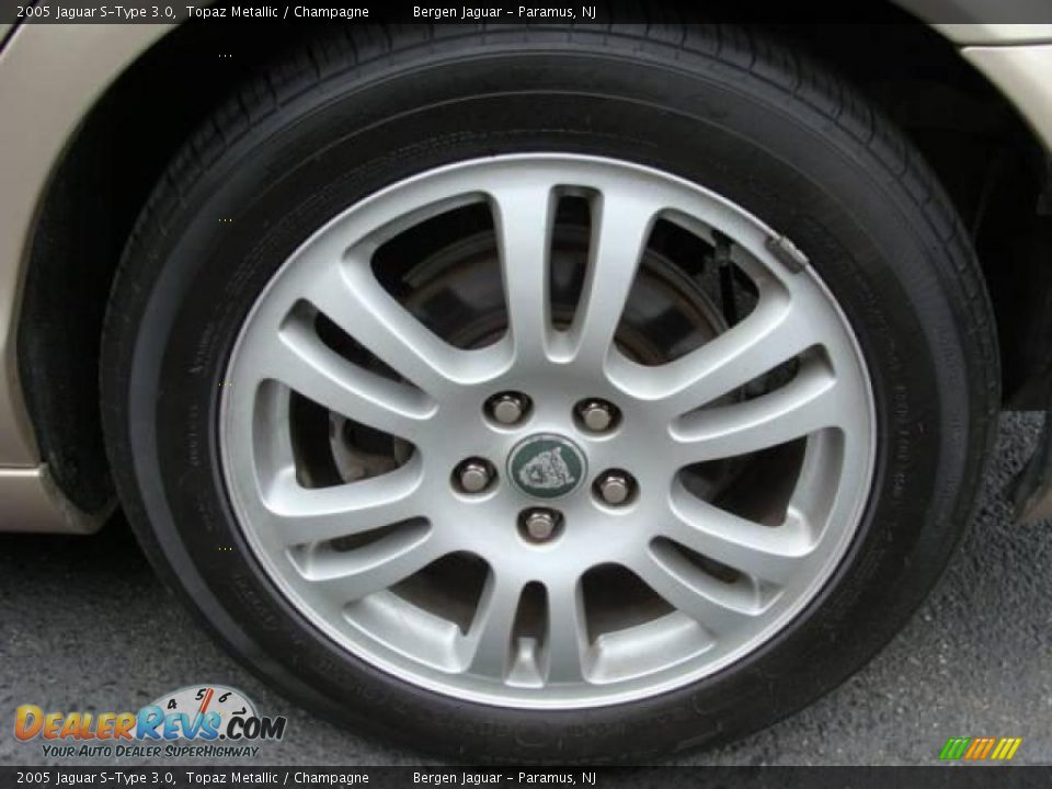 2005 Jaguar S-Type 3.0 Topaz Metallic / Champagne Photo #14