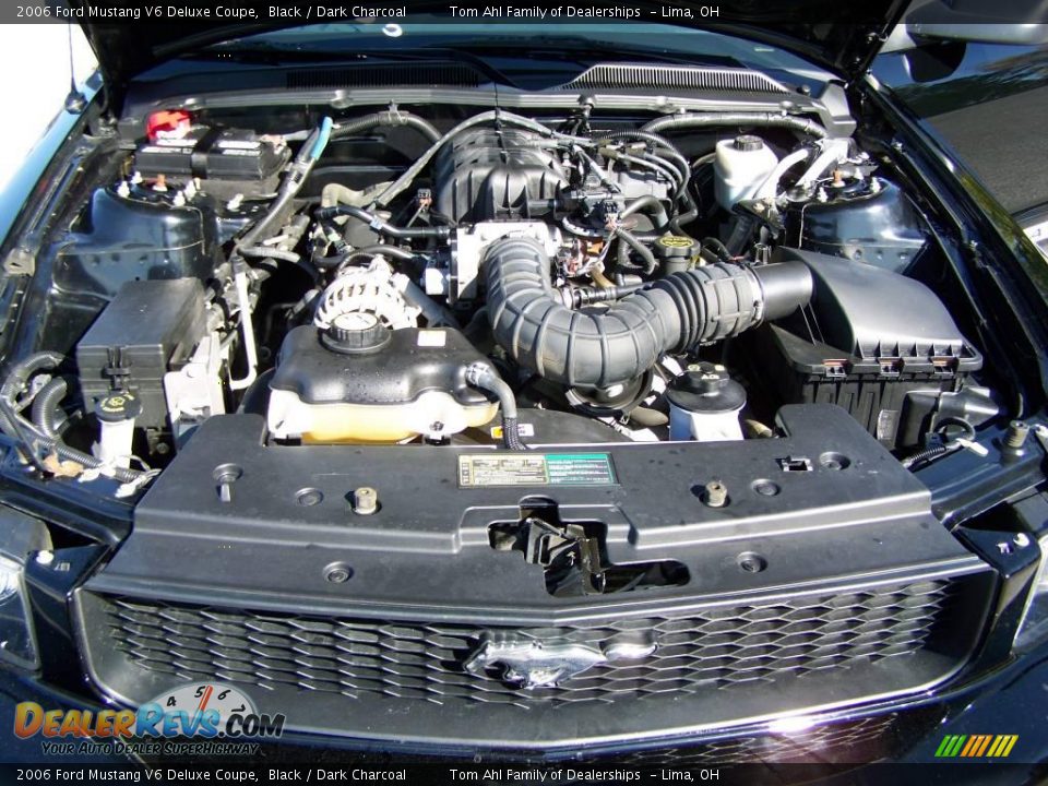 2006 Ford Mustang V6 Deluxe Coupe Black / Dark Charcoal Photo #12