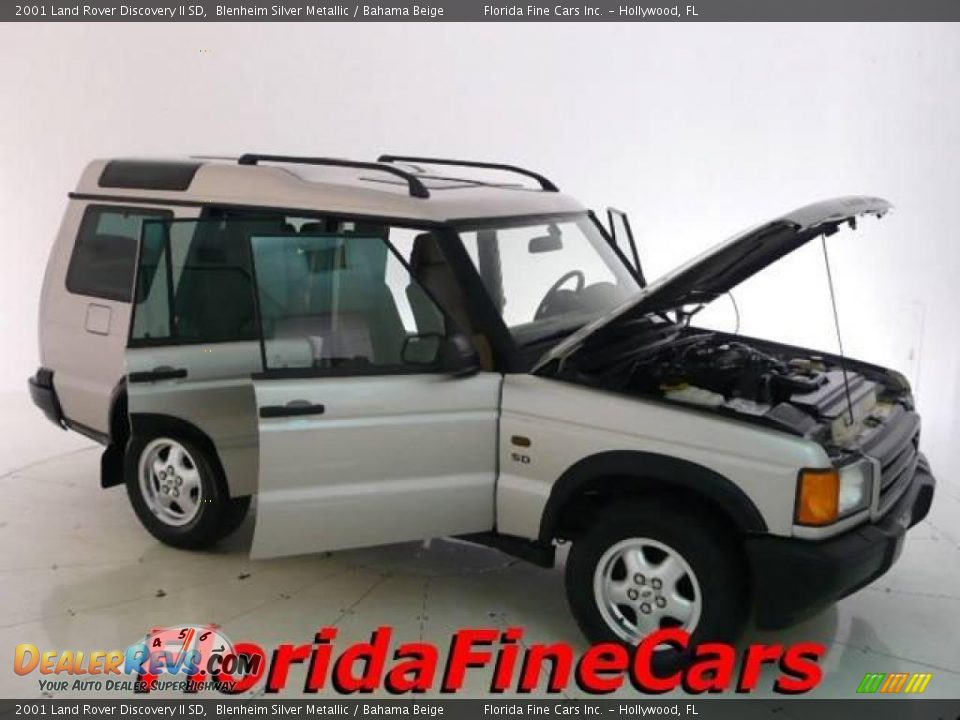 2001 Land Rover Discovery II SD Blenheim Silver Metallic / Bahama Beige Photo #8