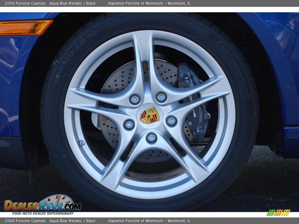 2009 Porsche Cayman  Wheel Photo #15