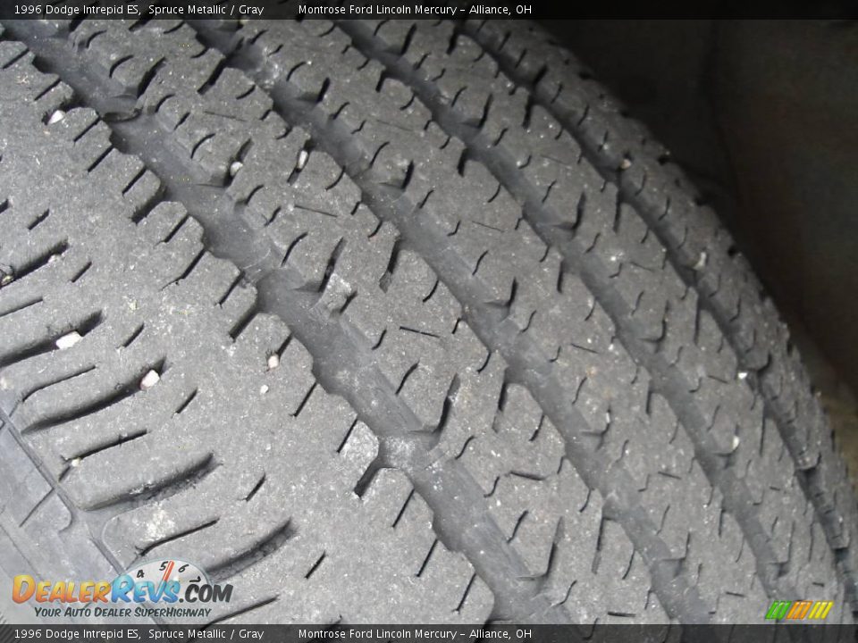1996 Dodge Intrepid ES Spruce Metallic / Gray Photo #10