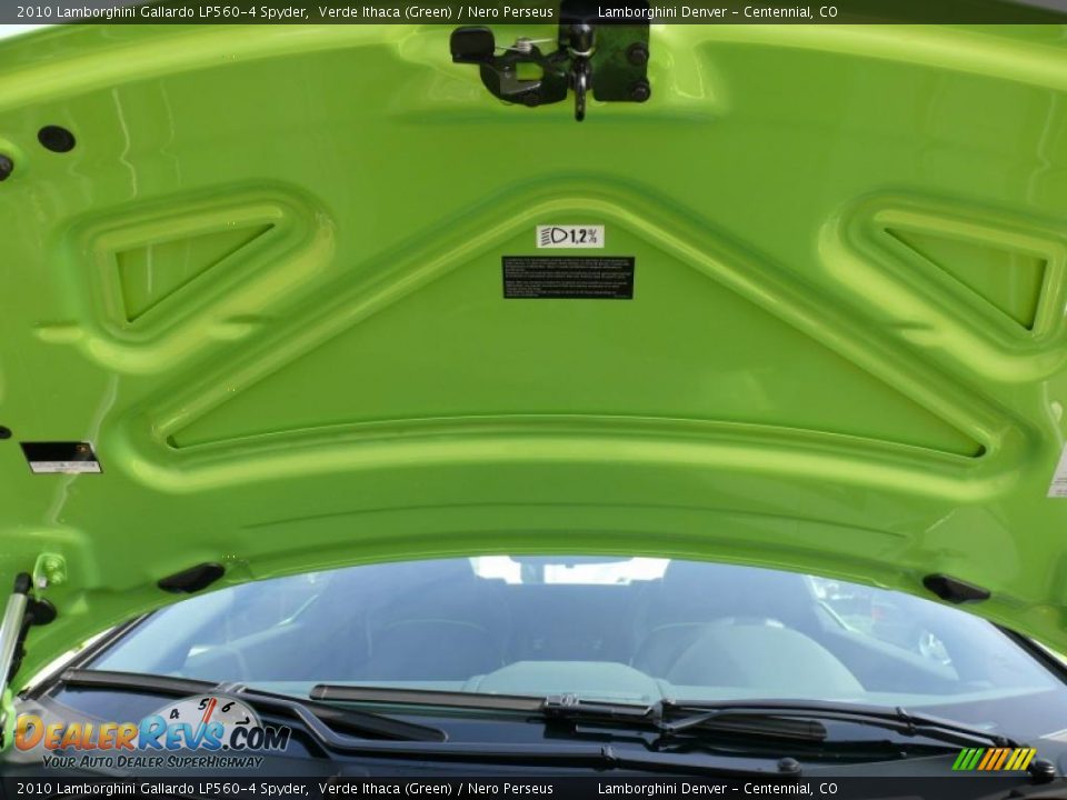 2010 Lamborghini Gallardo LP560-4 Spyder Verde Ithaca (Green) / Nero Perseus Photo #22