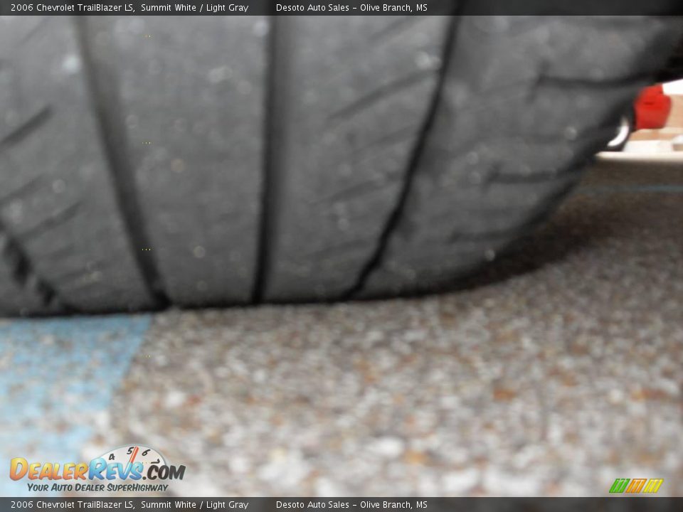 2006 Chevrolet TrailBlazer LS Summit White / Light Gray Photo #17