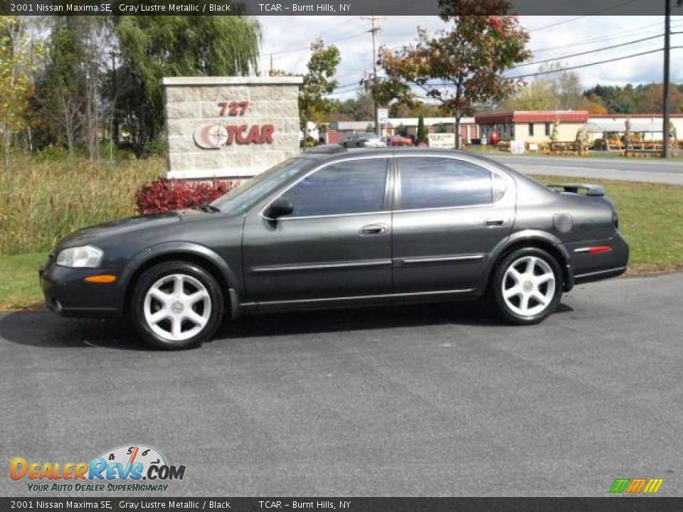 2001 Nissan Maxima SE Gray Lustre Metallic / Black Photo #1