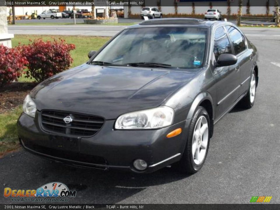 2001 Nissan Maxima SE Gray Lustre Metallic / Black Photo #2