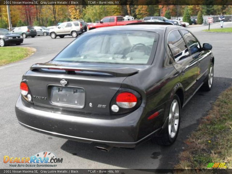 2001 Nissan Maxima SE Gray Lustre Metallic / Black Photo #4
