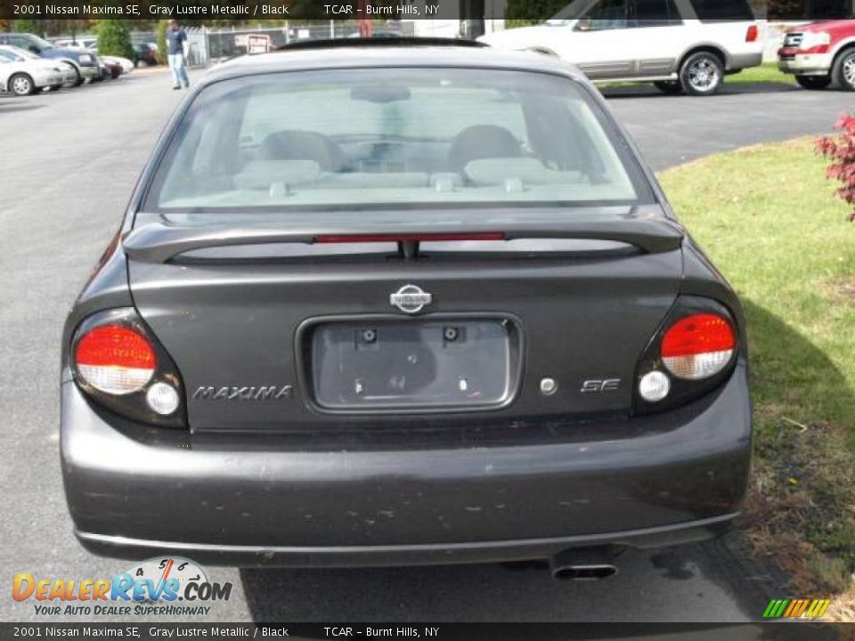 2001 Nissan Maxima SE Gray Lustre Metallic / Black Photo #5