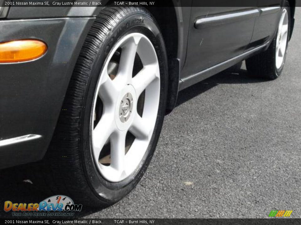 2001 Nissan Maxima SE Gray Lustre Metallic / Black Photo #6