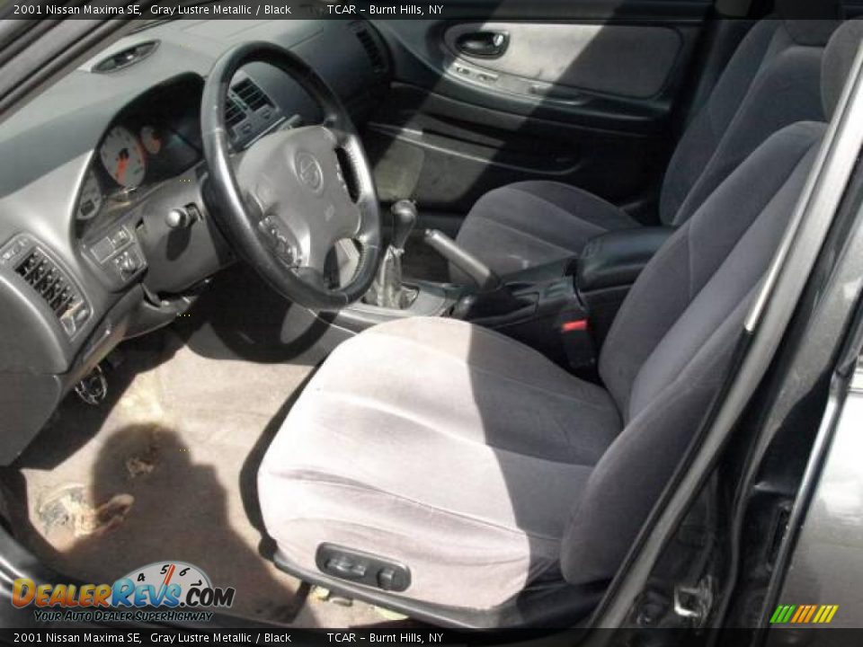 2001 Nissan Maxima SE Gray Lustre Metallic / Black Photo #7