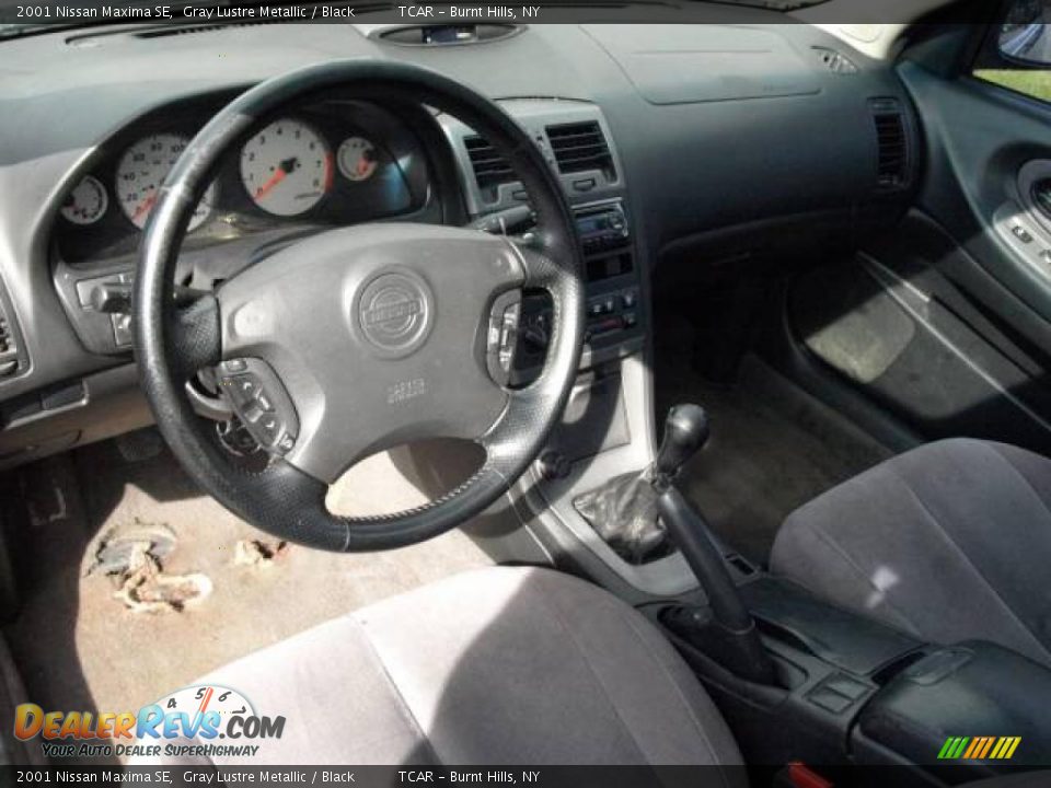 2001 Nissan Maxima SE Gray Lustre Metallic / Black Photo #8