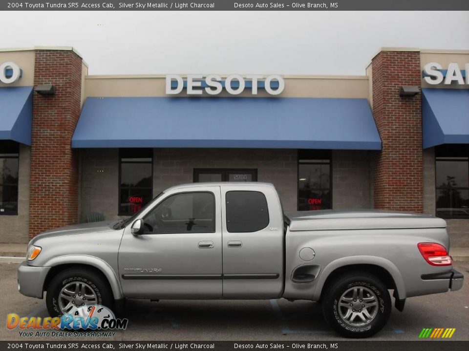 2004 Toyota Tundra SR5 Access Cab Silver Sky Metallic / Light Charcoal Photo #1