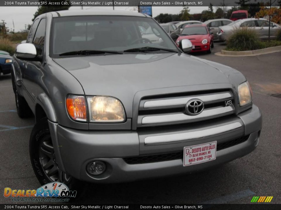 2004 Toyota Tundra SR5 Access Cab Silver Sky Metallic / Light Charcoal Photo #4