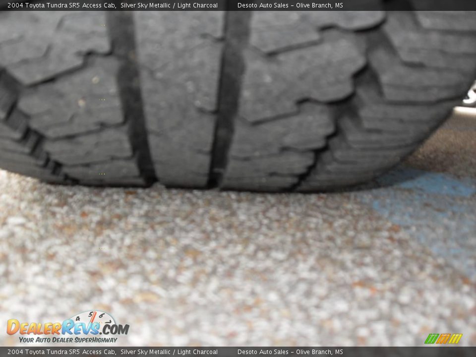 2004 Toyota Tundra SR5 Access Cab Silver Sky Metallic / Light Charcoal Photo #19