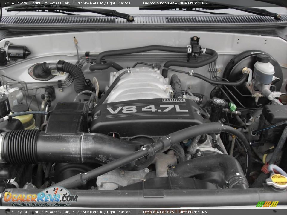 2004 Toyota Tundra SR5 Access Cab Silver Sky Metallic / Light Charcoal Photo #20