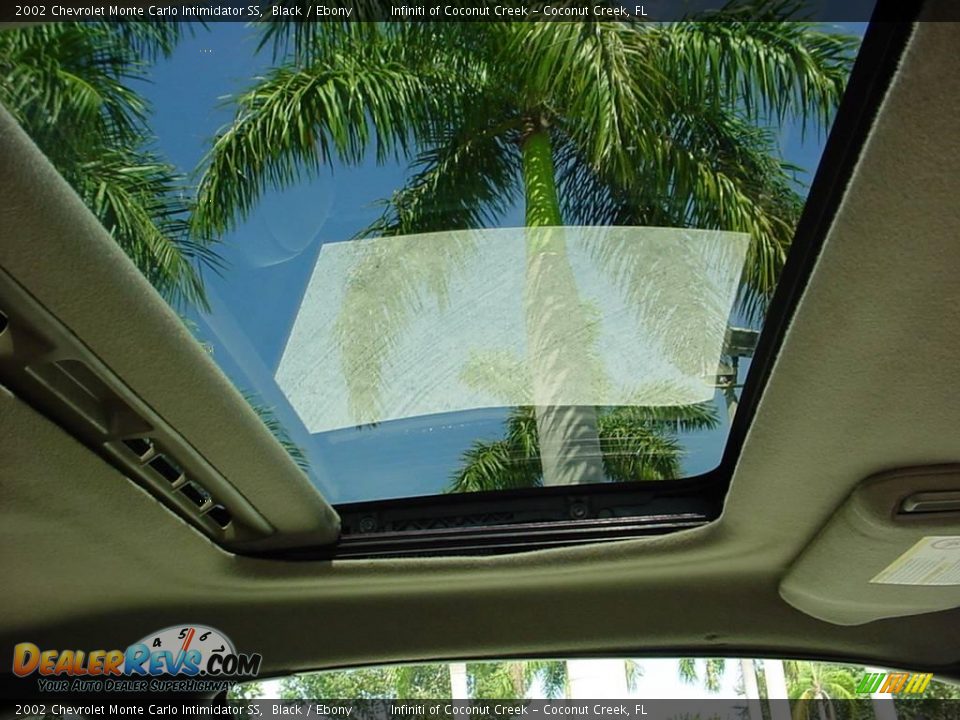 2002 Chevrolet Monte Carlo Intimidator SS Black / Ebony Photo #21