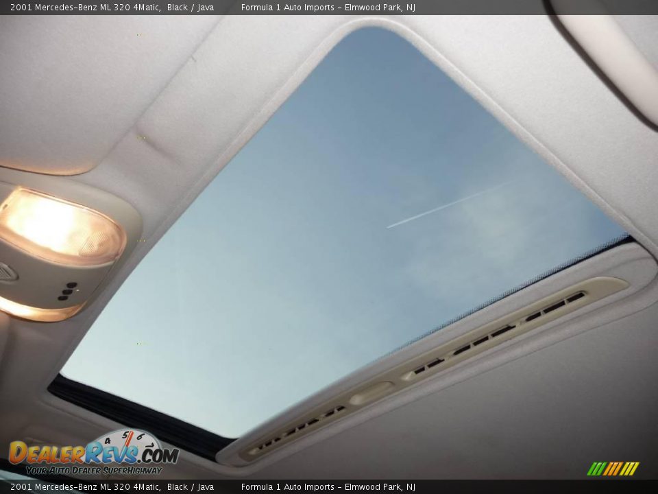 2001 Mercedes-Benz ML 320 4Matic Black / Java Photo #21
