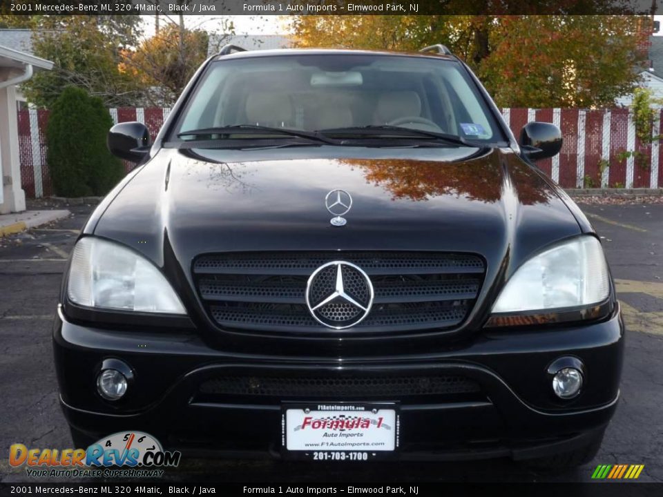 2001 Mercedes-Benz ML 320 4Matic Black / Java Photo #22
