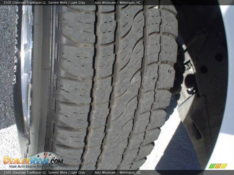 2005 Chevrolet TrailBlazer LS Summit White / Light Gray Photo #5