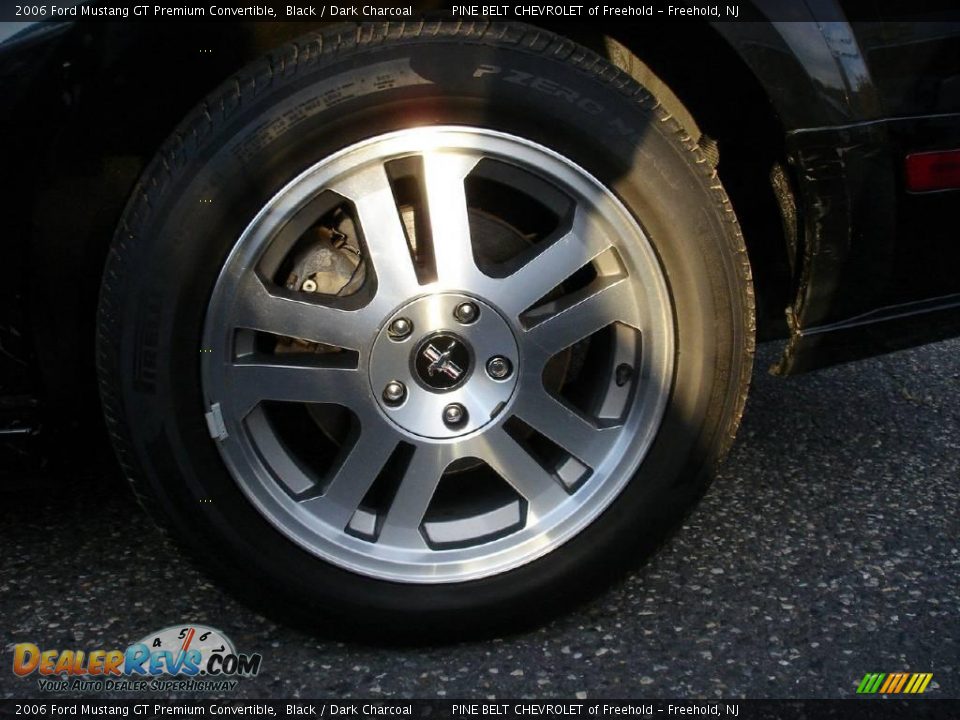 2006 Ford Mustang GT Premium Convertible Black / Dark Charcoal Photo #15