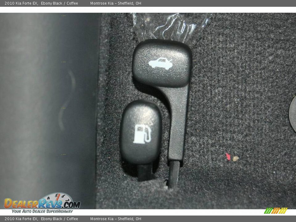 2010 Kia Forte EX Ebony Black / Coffee Photo #30