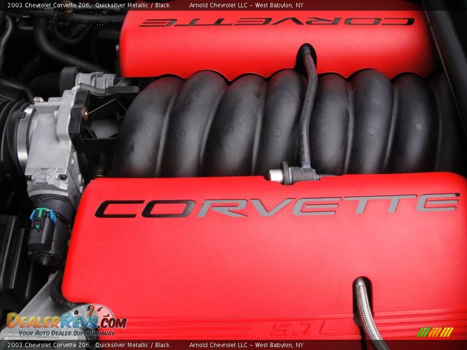 2003 Chevrolet Corvette Z06 Quicksilver Metallic / Black Photo #9