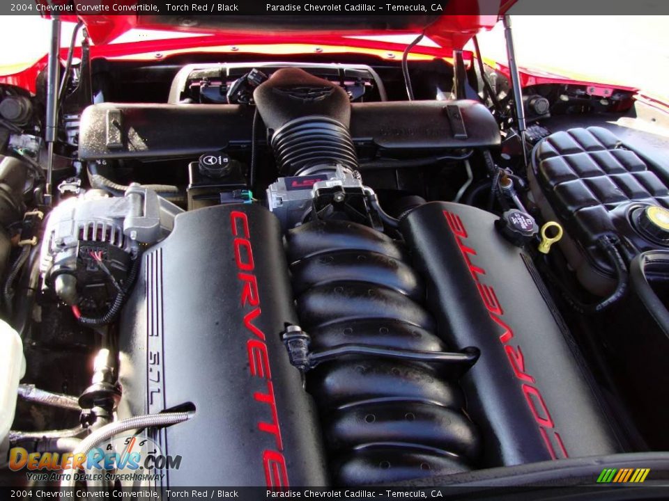 2004 Chevrolet Corvette Convertible Torch Red / Black Photo #6