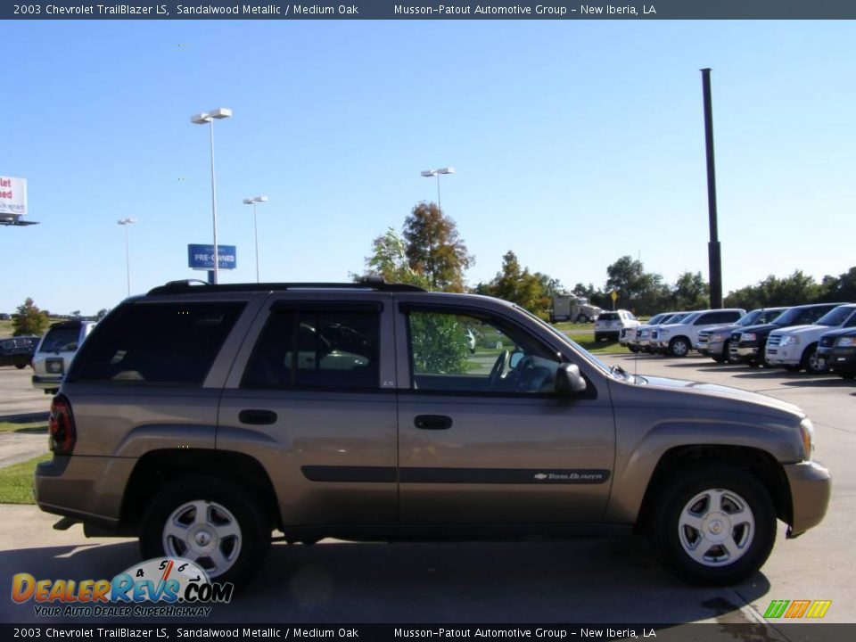 2003 Chevrolet TrailBlazer LS Sandalwood Metallic / Medium Oak Photo #6