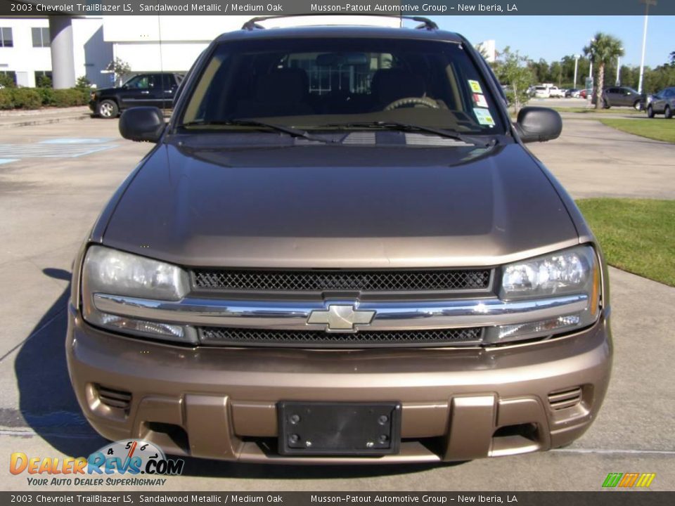 2003 Chevrolet TrailBlazer LS Sandalwood Metallic / Medium Oak Photo #8