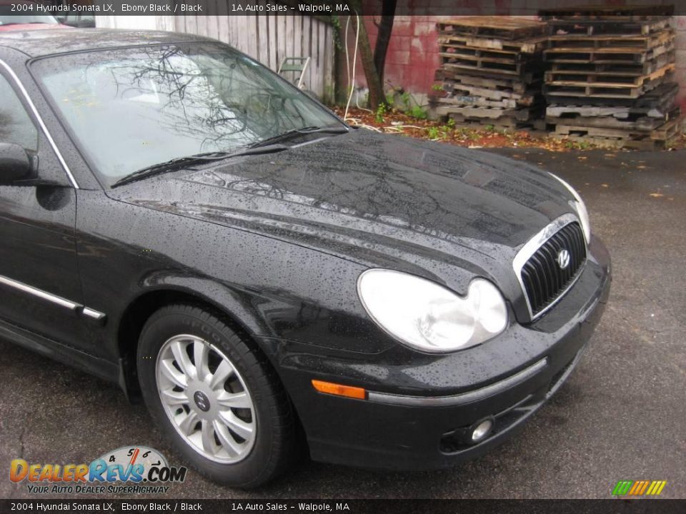 2004 Hyundai Sonata LX Ebony Black / Black Photo #17