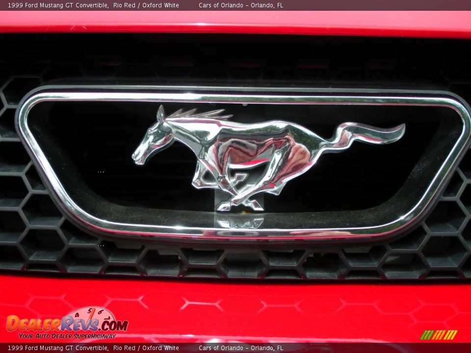 1999 Ford Mustang GT Convertible Rio Red / Oxford White Photo #22