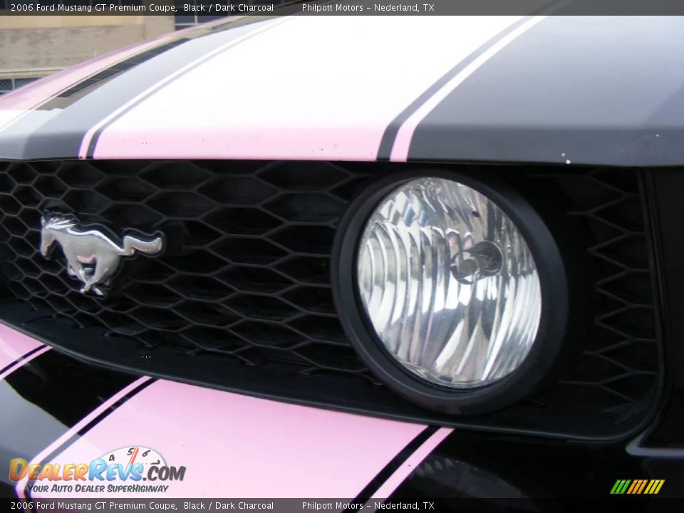 2006 Ford Mustang GT Premium Coupe Black / Dark Charcoal Photo #11
