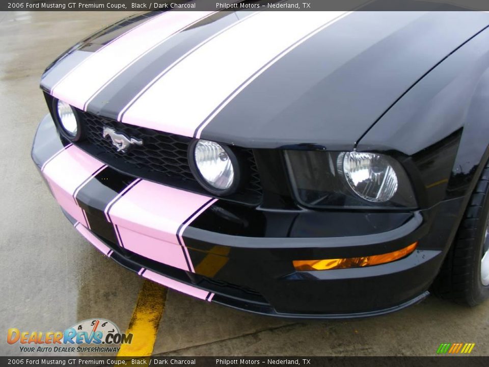 2006 Ford Mustang GT Premium Coupe Black / Dark Charcoal Photo #13