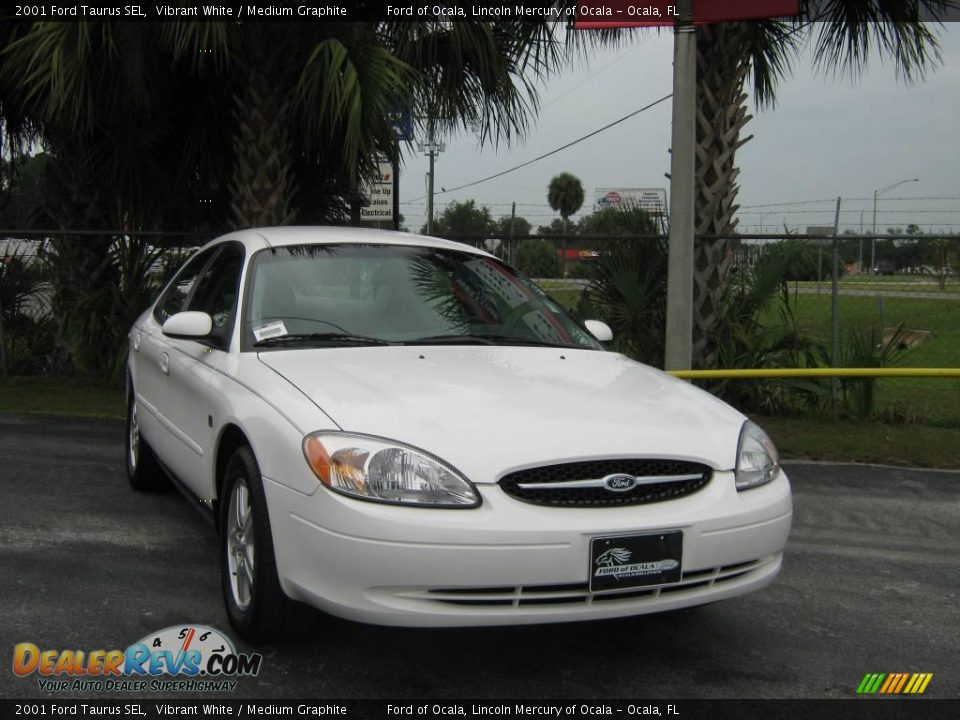 2001 Ford Taurus SEL Vibrant White / Medium Graphite Photo #9