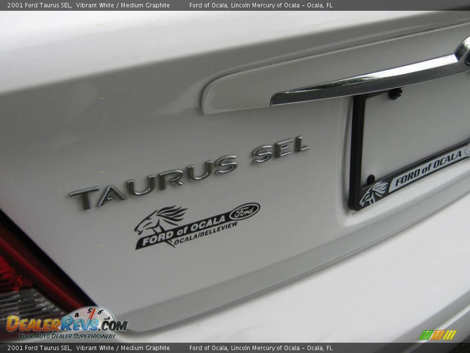 2001 Ford Taurus SEL Vibrant White / Medium Graphite Photo #10