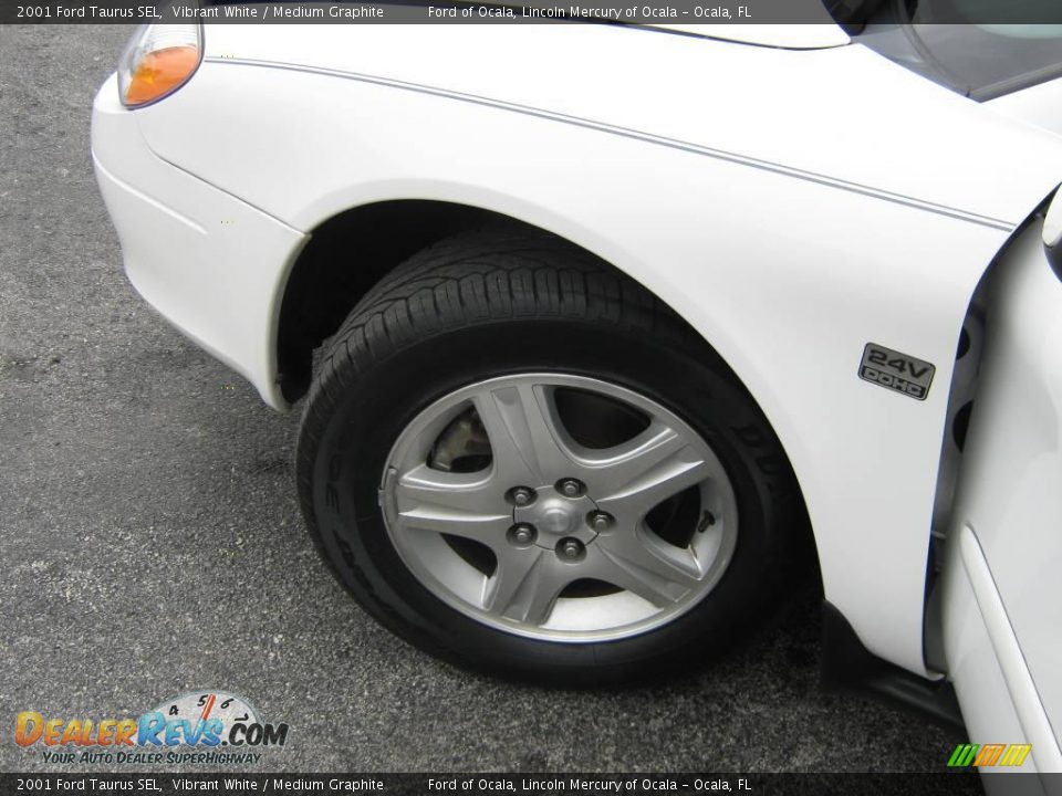 2001 Ford Taurus SEL Vibrant White / Medium Graphite Photo #13