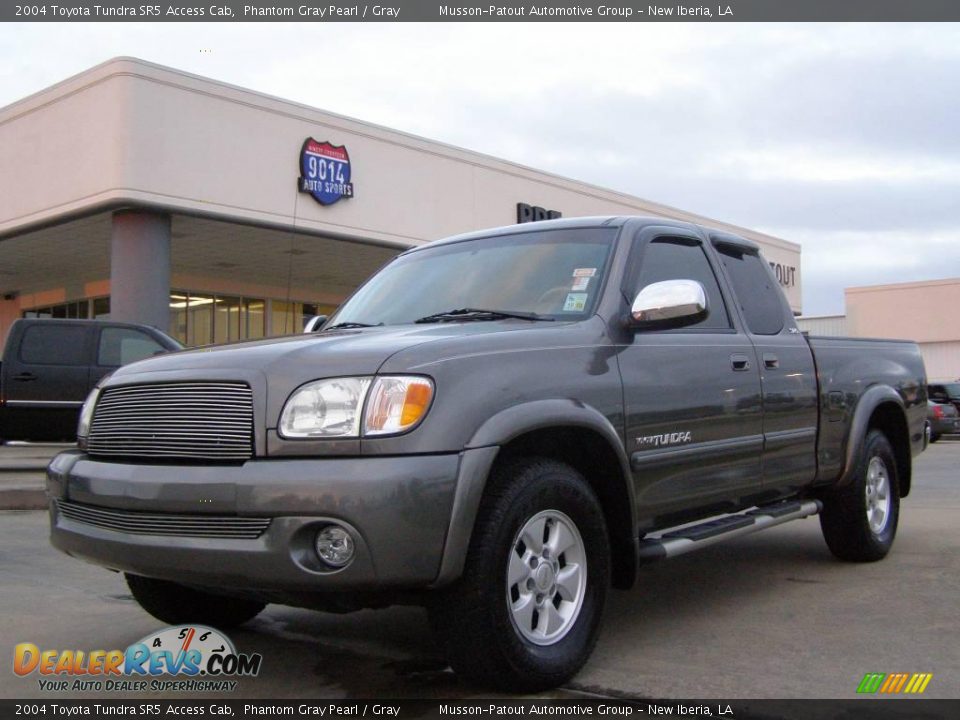 2004 Toyota Tundra SR5 Access Cab Phantom Gray Pearl / Gray Photo #1
