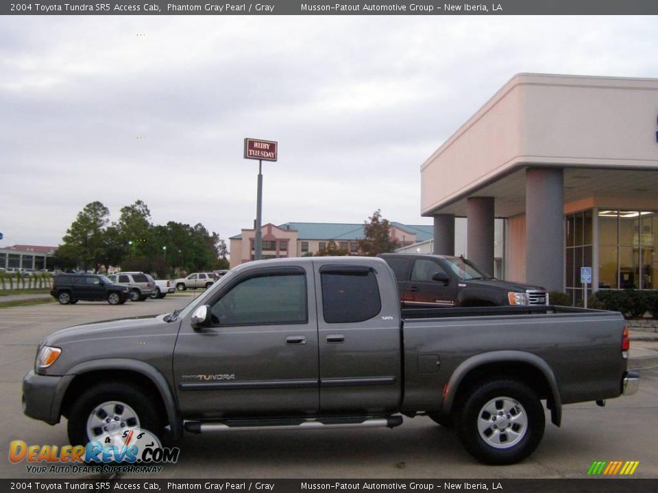 2004 Toyota Tundra SR5 Access Cab Phantom Gray Pearl / Gray Photo #2