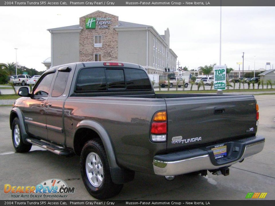 2004 Toyota Tundra SR5 Access Cab Phantom Gray Pearl / Gray Photo #3