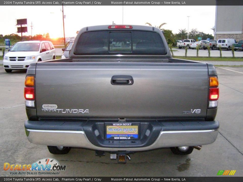 2004 Toyota Tundra SR5 Access Cab Phantom Gray Pearl / Gray Photo #4
