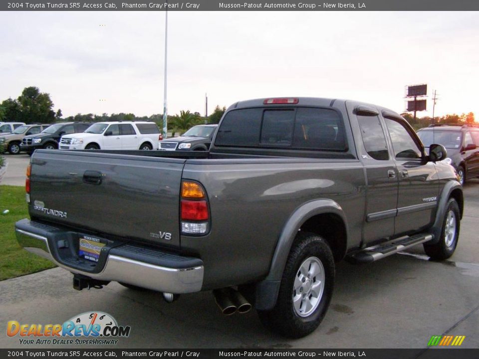 2004 Toyota Tundra SR5 Access Cab Phantom Gray Pearl / Gray Photo #5