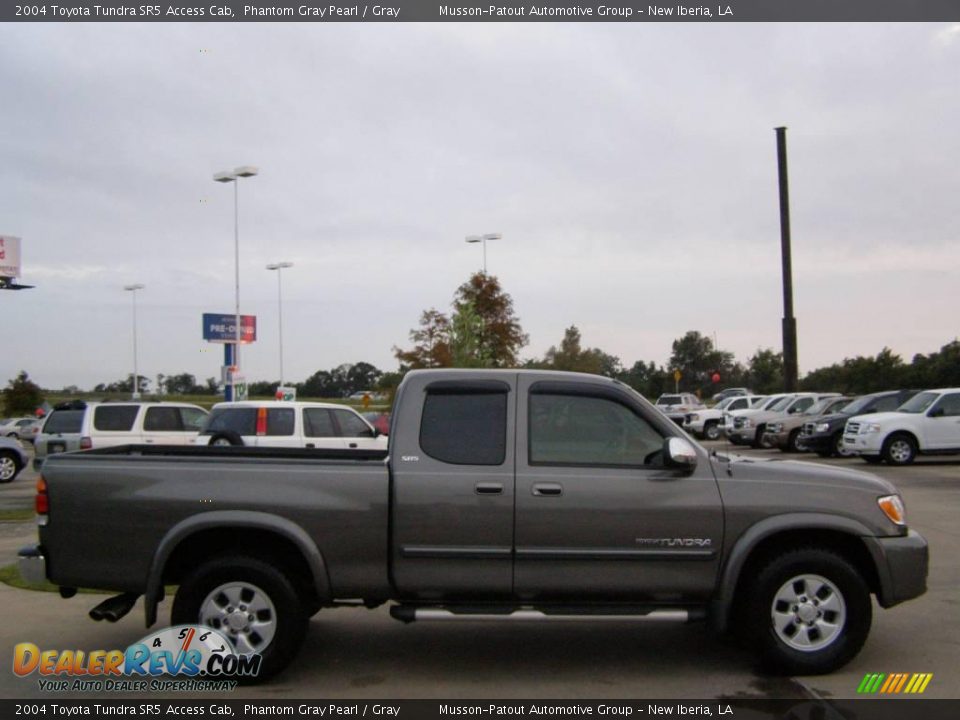 2004 Toyota Tundra SR5 Access Cab Phantom Gray Pearl / Gray Photo #6
