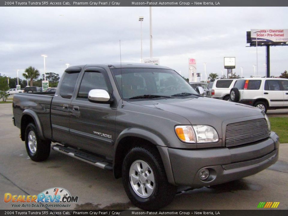 2004 Toyota Tundra SR5 Access Cab Phantom Gray Pearl / Gray Photo #7