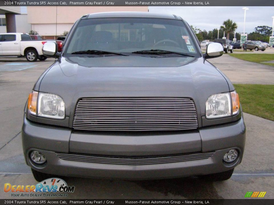 2004 Toyota Tundra SR5 Access Cab Phantom Gray Pearl / Gray Photo #8