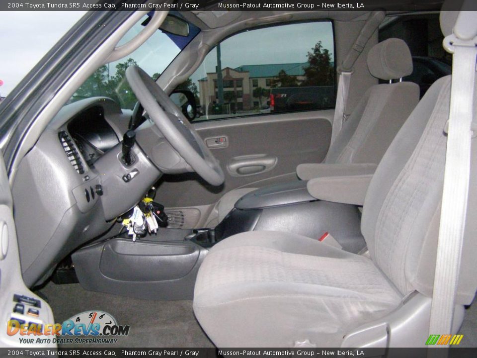 2004 Toyota Tundra SR5 Access Cab Phantom Gray Pearl / Gray Photo #9