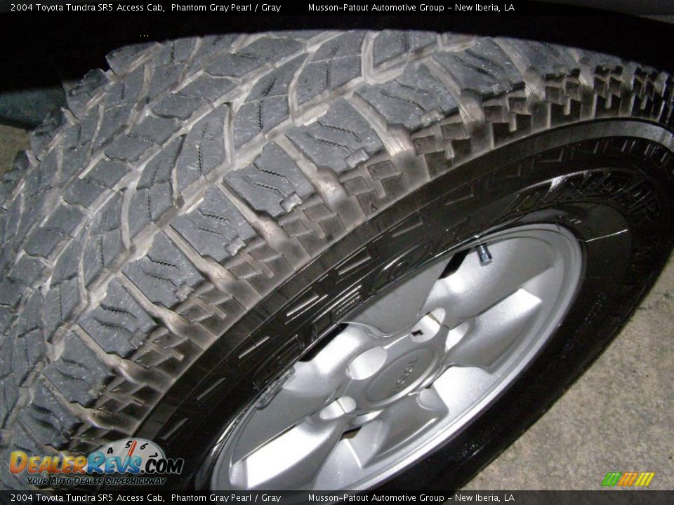 2004 Toyota Tundra SR5 Access Cab Phantom Gray Pearl / Gray Photo #12