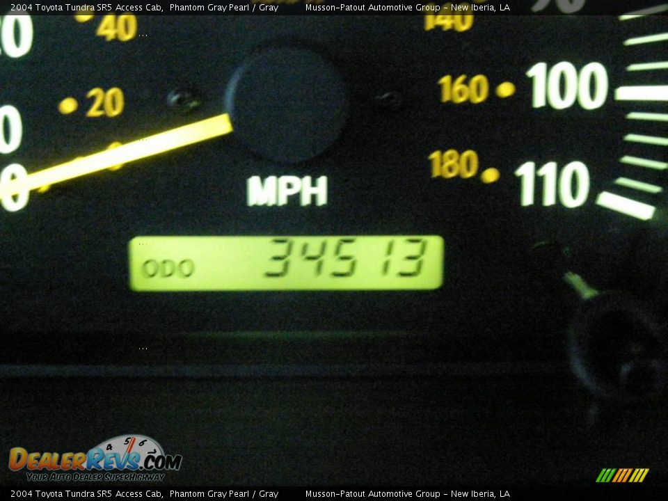 2004 Toyota Tundra SR5 Access Cab Phantom Gray Pearl / Gray Photo #14